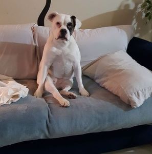 Meet your Posher, Scott